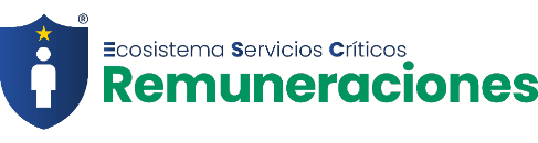 remuneraciones